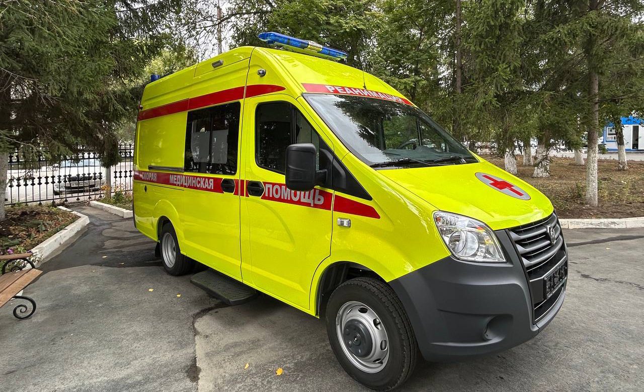 5339498231832378178 (1).jpg